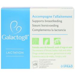 Galactogil Lactation Pdr Or 24Sach/3,226G