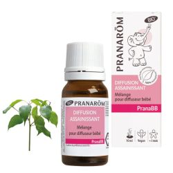 Pranarom PranaBB Diffusion Assainissant Mélange Pour Diffuseur 10 mL