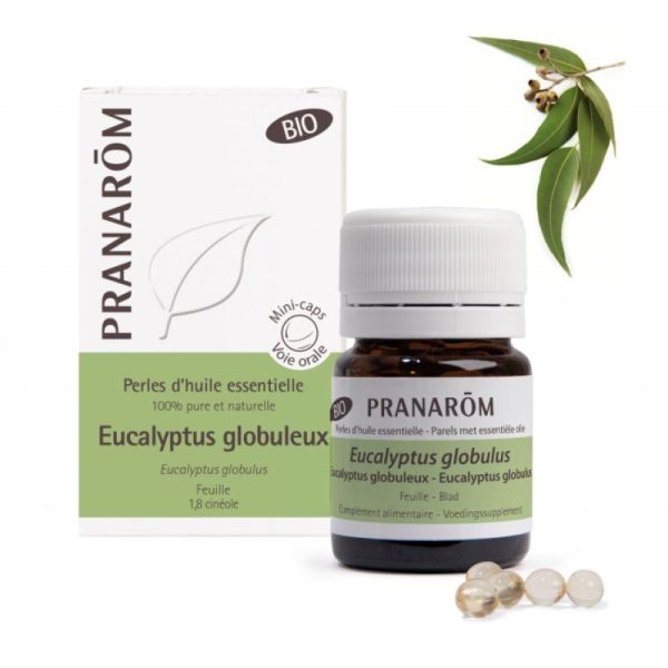 Pranarom Perles d'HE Eucalyptus globuleux Feuilles Bio 60 perles