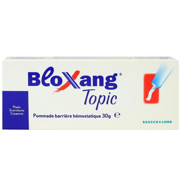 Bloxang Topic Pommad Tb30G 1