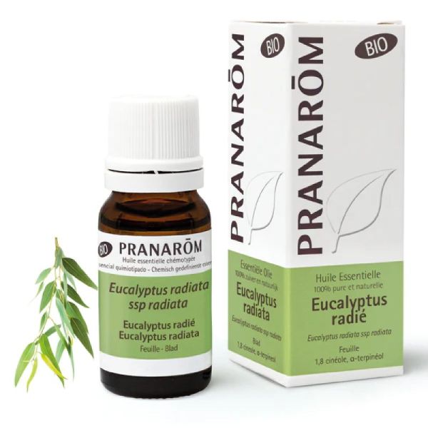 Pranarom HE Bio Eucalyptus radié 10 mL