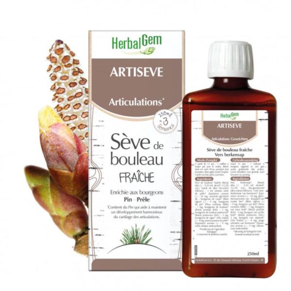 Herbalgem Artiseve Seve De Bouleau 250Ml