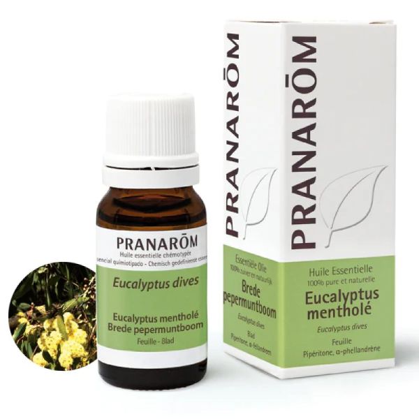 Pranarom HE Eucalyptus mentholé 10 mL